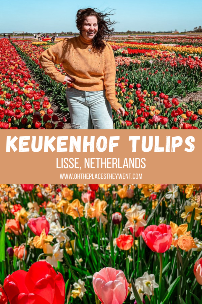 How To See More Tulips In Lisse When You Visit Keukenhof: Lisse, Netherlands is full of Dutch tulip beauty not only in the Keukenhof gardens, but also in the tulip fields surrounding. Find out how to enjoy it all.