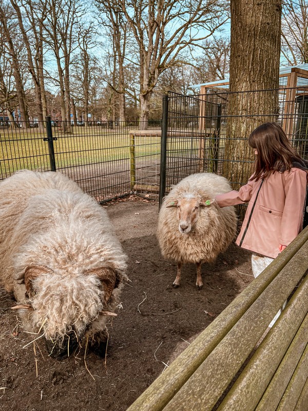 Kinderboederij De Houthoeve, Haarlemmerhout, Haarlem, Netherlands