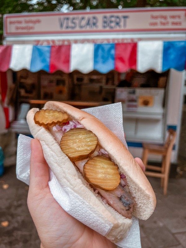 Dutch food, herring, Netherlands