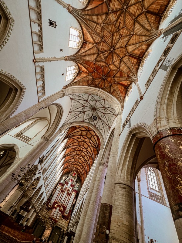 Saint Bavo Church, Haarlem, Netherlands