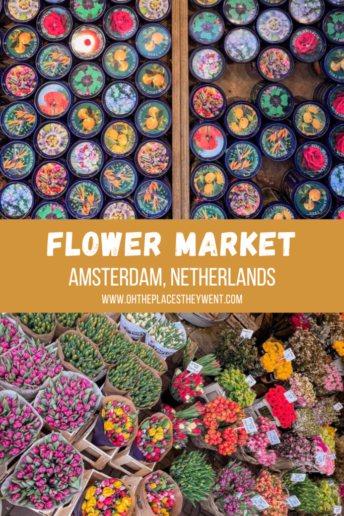 Discover the Charm of Bloemenmarkt: Amsterdam's Floating Flower Market: The floating flower market in Amsterdam, Netherlands is a popular tourist stop for flower bulbs, souvenirs, and more.