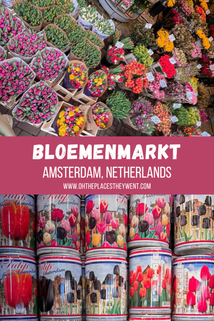 Discover the Charm of Bloemenmarkt: Amsterdam's Floating Flower Market: The floating flower market in Amsterdam, Netherlands is a popular tourist stop for flower bulbs, souvenirs, and more.