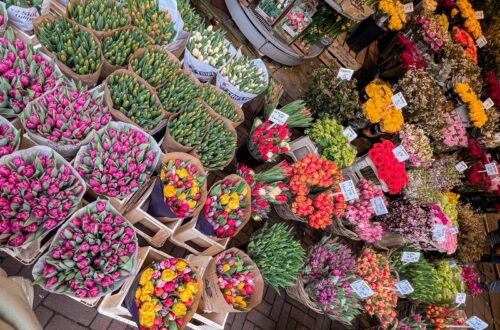 Bloemenmarkt, Floating Flower Market, Amsterdam, Netherlands