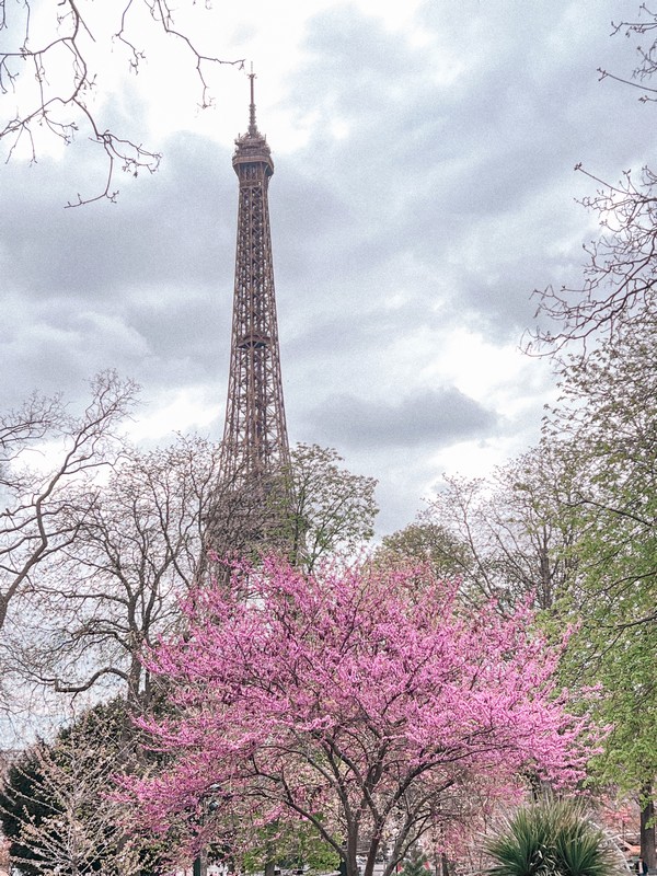 spring in Paris, Eiffel Tower, Paris, France