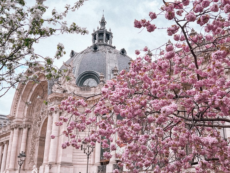 Petit Palais, Paris, France