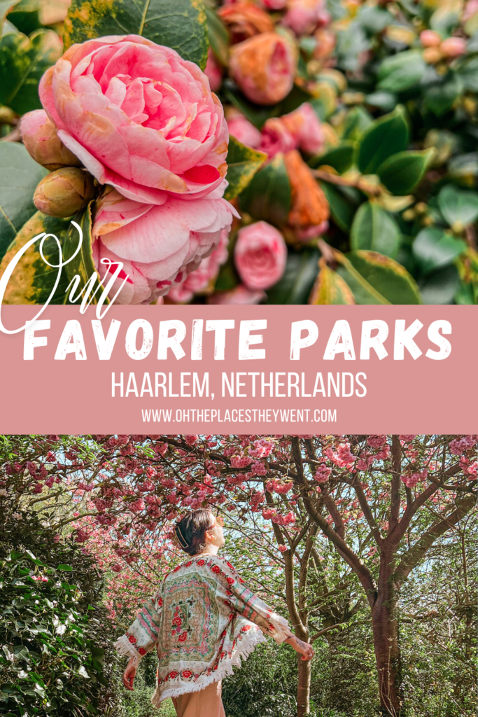 6 Of Our Favorite Parks In Haarlem To Walk, Play, and Enjoy: There are some beautiful parks in Haarlem, Netherlands with flowers to see, playgrounds for kids, and lots of walking paths. Get ready to explore the outdoors!