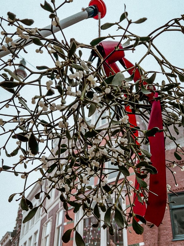 Christmas Market Haarlem, Haarlem, Netherlands