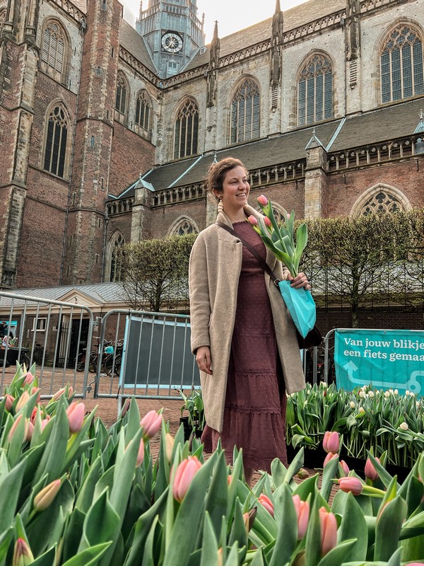 Tulpenpluktuin | Tulip Garden, Haarlem, Netherlands