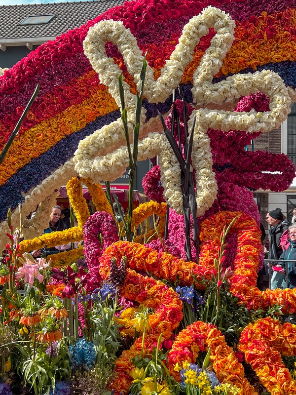 Bloemencorso | Bulb Flower Parade, Haarlem, Netherlands