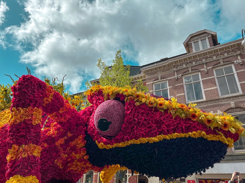 Bloemencorso | Bulb Flower Parade, Haarlem, Netherlands