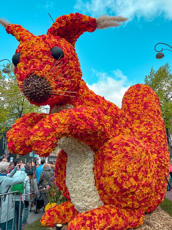 Bloemencorso | Bulb Flower Parade, Haarlem, Netherlands