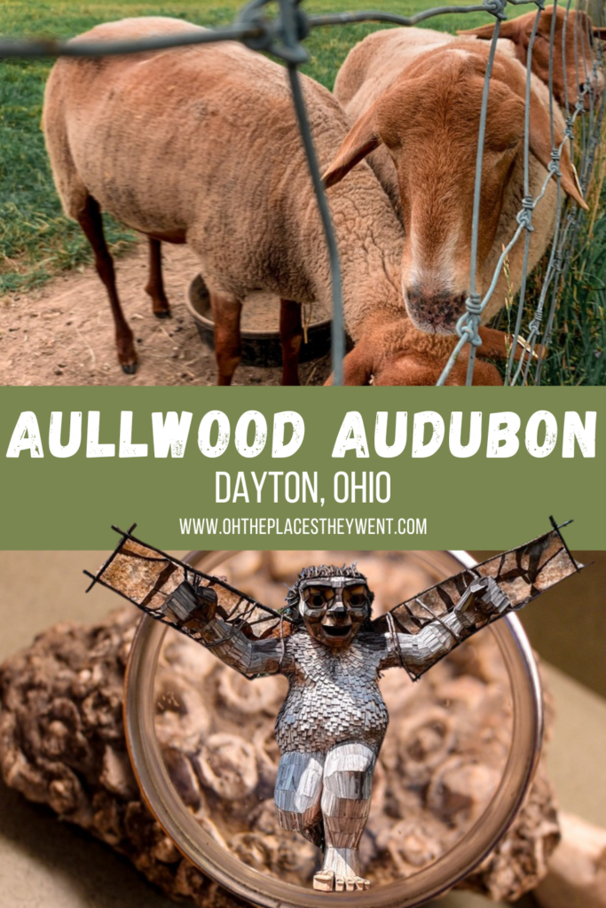 Aullwood Audubon: Where The Giants Meet The Birds: This fantastic far, sanctuary, and park of trails is a must visit in Dayton, Ohio especially if you have kids. Get ready for educational exploration with whimsy tossed in too.