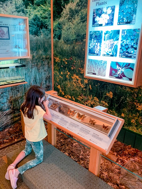 Aullwood Nature Center, Aullwood Audubon, Dayton, Ohio