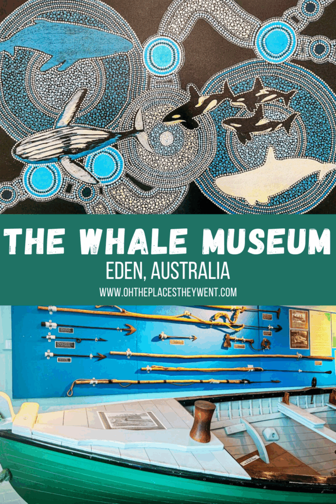 Eden's Whale-Sized Surprise: Visit the Killer Whale Whale Museum with Kids: Discover the Eden Killer Whale Museum on Australia's Sapphire Coast, where families can learn about the real-life partnership between whalers and orcas.
