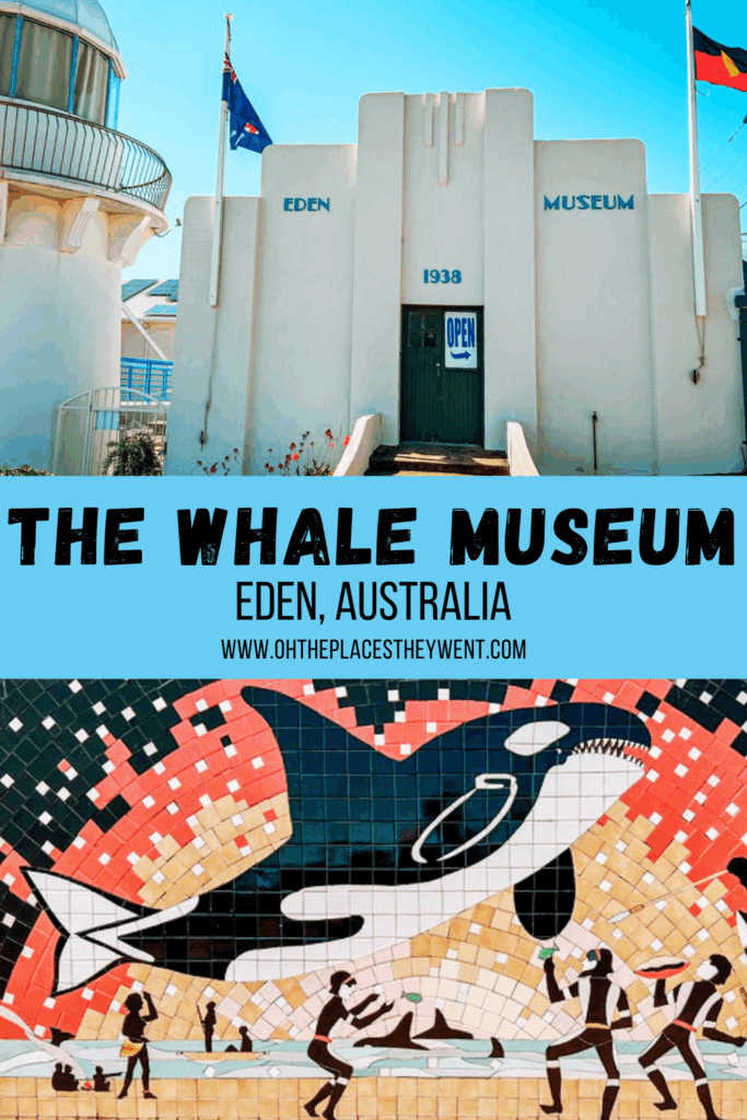 Eden's Whale-Sized Surprise: Visit the Killer Whale Whale Museum with Kids: Discover the Eden Killer Whale Museum on Australia's Sapphire Coast, where families can learn about the real-life partnership between whalers and orcas.