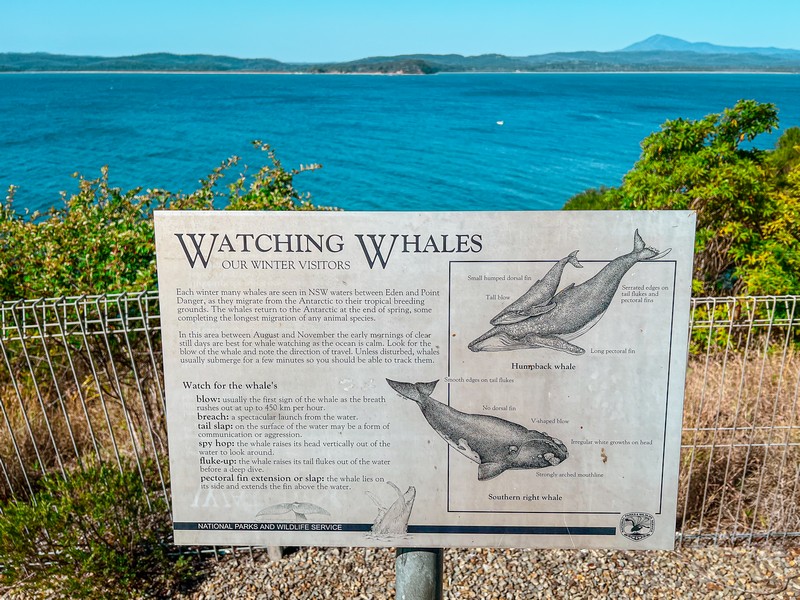 Eden Killer Whale Museum, Eden, Australia