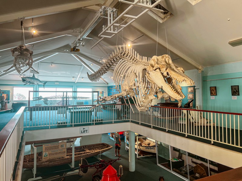 Eden Killer Whale Museum, Eden, Australia