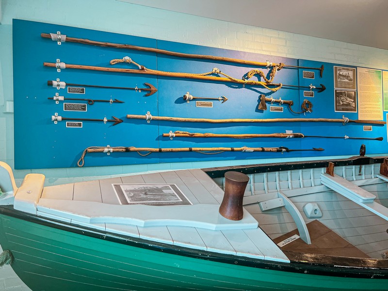 Eden Killer Whale Museum, Eden, Australia