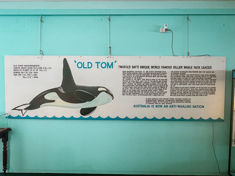 Eden Killer Whale Museum, Eden, Australia