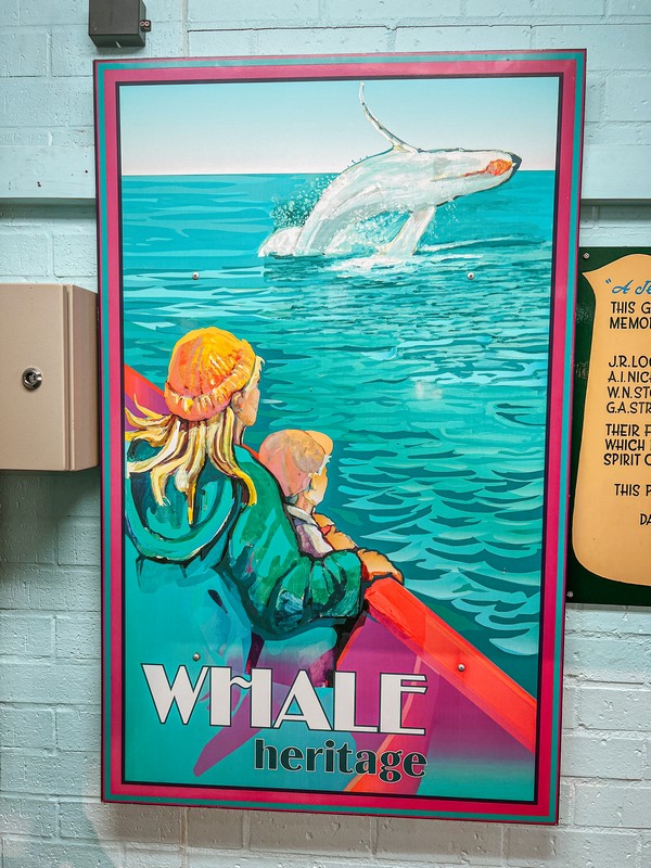 Eden Killer Whale Museum, Eden, Australia