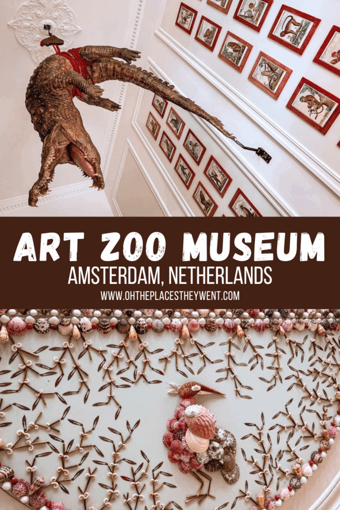 A Curious Encounter at Amsterdam's Art Zoo Museum: Step inside Amsterdam’s Art Zoo Museum, where nature meets art in a 17th-century canal house. Discover lifelike taxidermy, history, and quiet wonder.