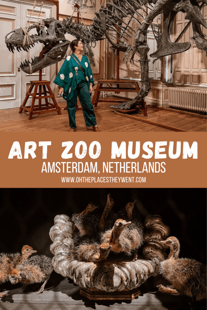 A Curious Encounter at Amsterdam's Art Zoo Museum: Step inside Amsterdam’s Art Zoo Museum, where nature meets art in a 17th-century canal house. Discover lifelike taxidermy, history, and quiet wonder.