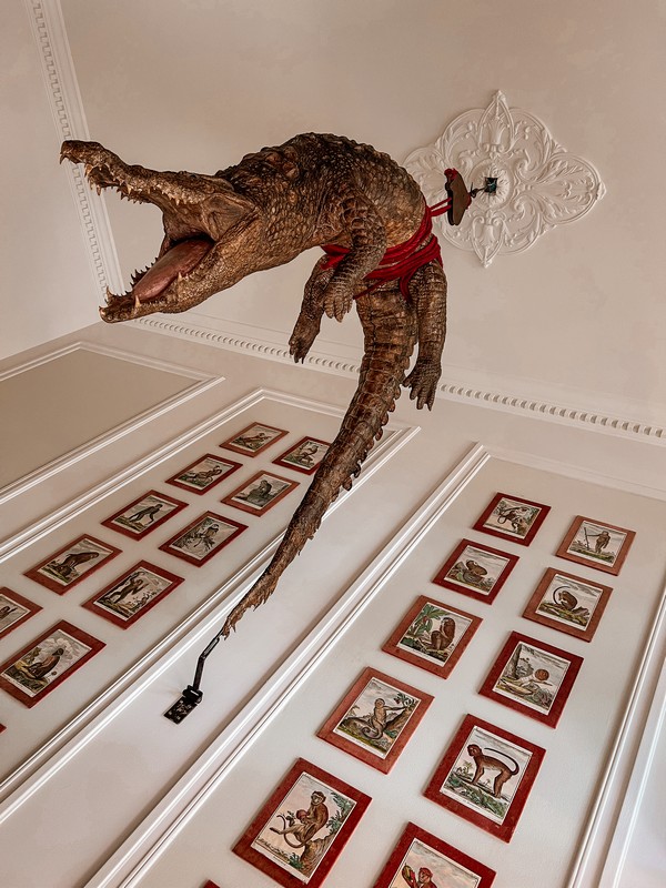 Art Zoo Museum, Amsterdam, Netherlands