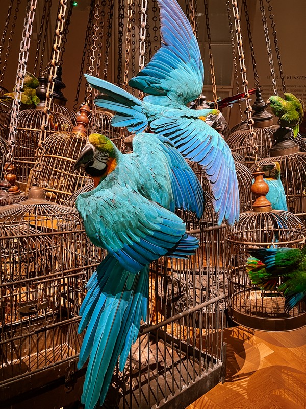 Art Zoo Museum, Amsterdam, Netherlands