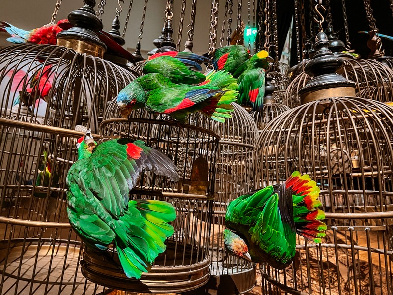 Art Zoo Museum, Amsterdam, Netherlands