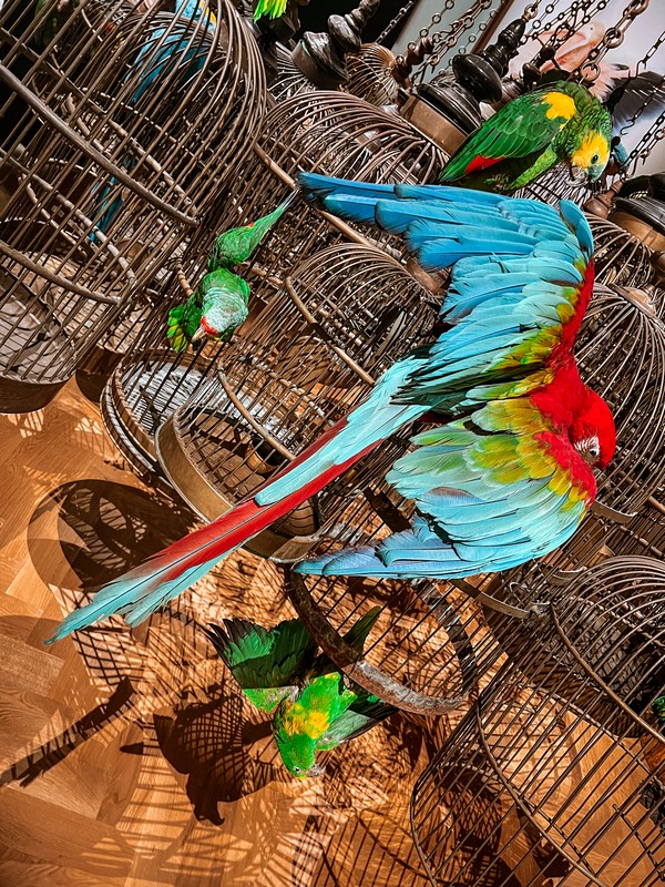 Art Zoo Museum, Amsterdam, Netherlands