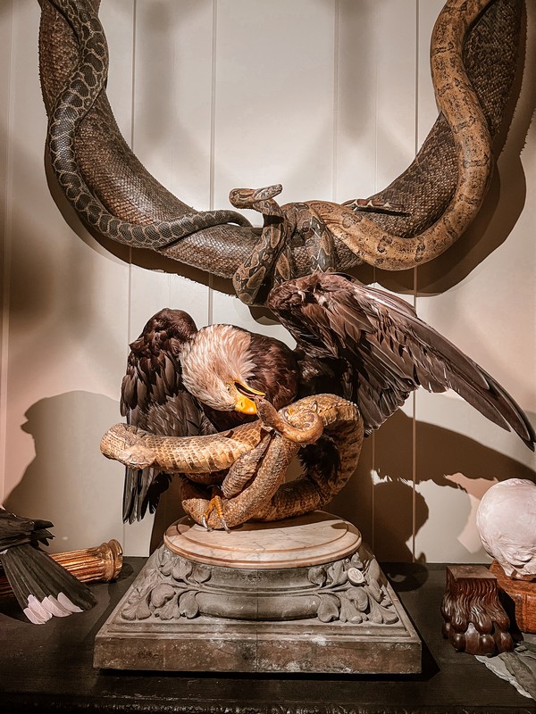 Art Zoo Museum, Amsterdam, Netherlands