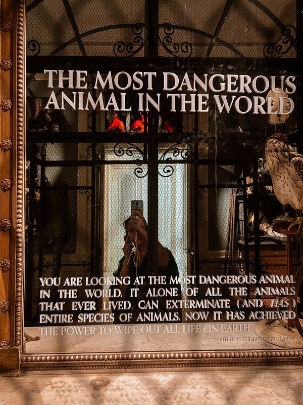 Art Zoo Museum, Amsterdam, Netherlands