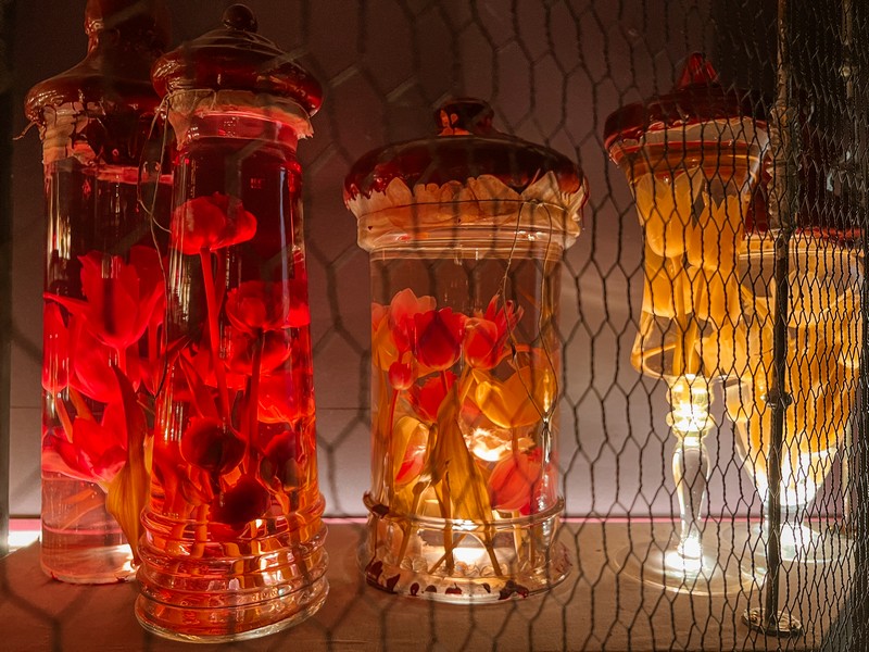Art Zoo Museum, Amsterdam, Netherlands