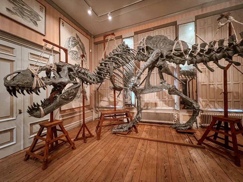 Art Zoo Museum, Amsterdam, Netherlands