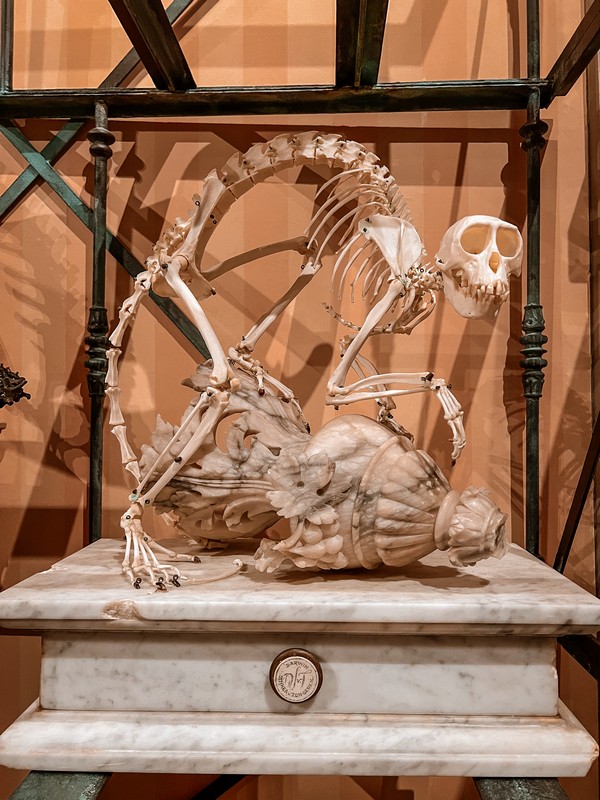 Art Zoo Museum, Amsterdam, Netherlands