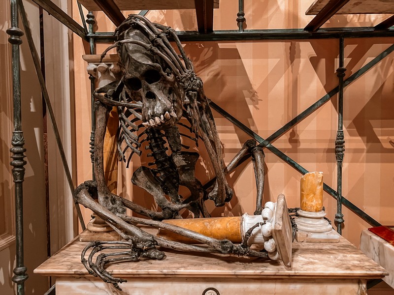 Art Zoo Museum, Amsterdam, Netherlands