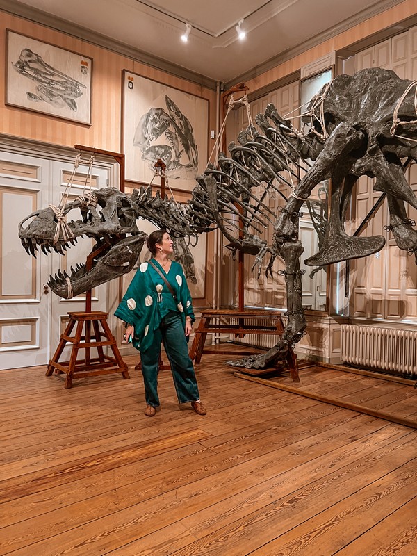 Art Zoo Museum, Amsterdam, Netherlands