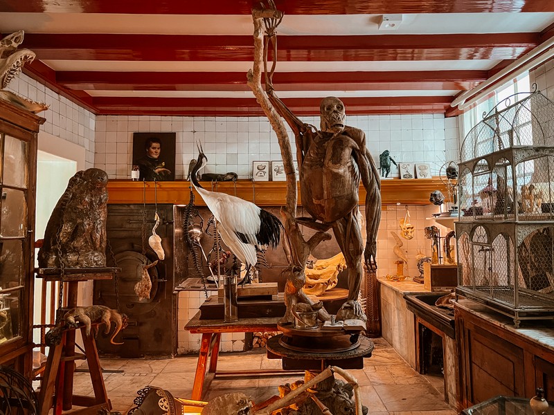 Art Zoo Museum, Amsterdam, Netherlands