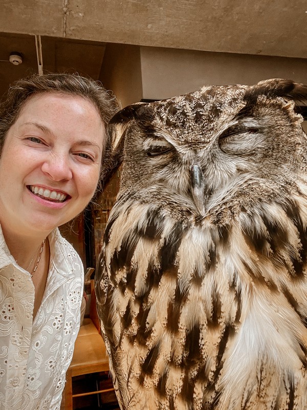 Owl Café Chouette, Osaka, Japan